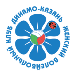 Лого Динамо-Ак Барс-УОР