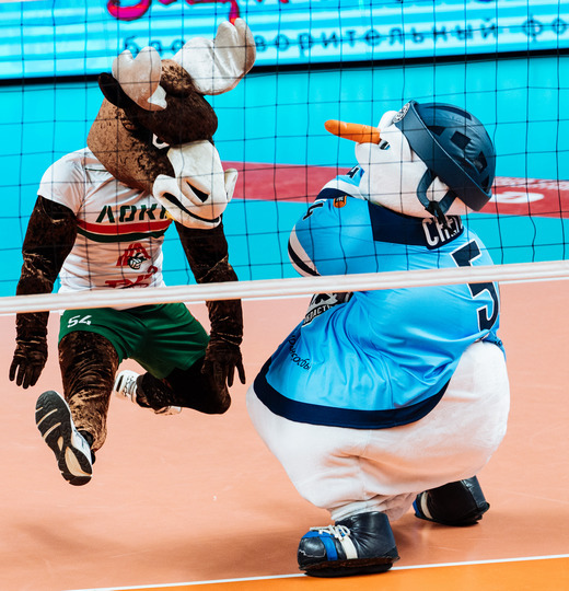 Фото Благотворительный матч Сибирского братства 